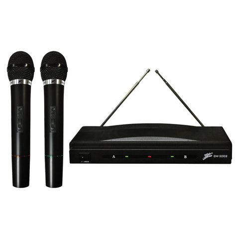 Studio Z (GW3002) Dual Microphone System with Wireless Receiver Nippon