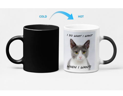 Bossy Kitten Heat Sensitive Color Changing Coffee Mug Onetify