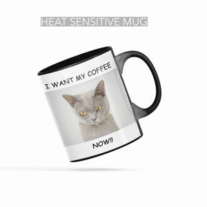 Heat Sensitive Cat Loves Coffee Ceramic Color Changing Mug Onetify