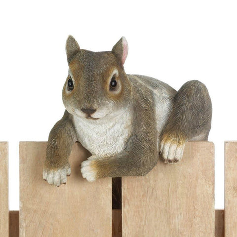 Climbing Cuties - Chip the Squirrel Accent Plus