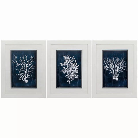 21" X 27" White Frame Woodecoral Blue (Set of 3) Homeroots.co