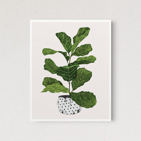 Fiddle Leaf Fig Tree The Crafted Prints